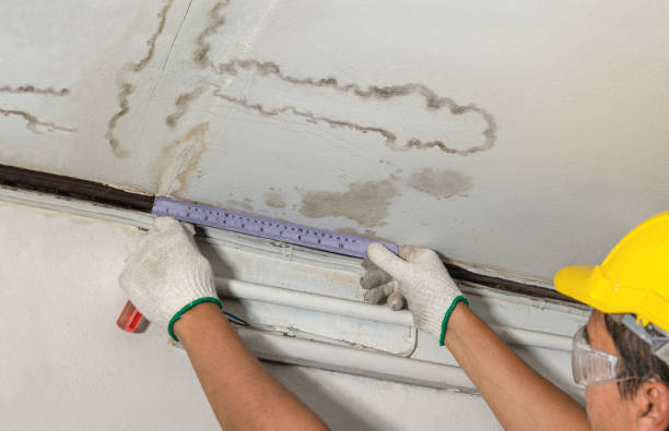 Reliable Flood Cleanup contractor in Niota, TN by Water Damage Irwin